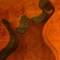 Black walnut top on a Xylem custom bass