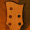 Curly maple veneer on the back of a 5 string bass headstock