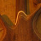 5 string bass body with black walnut top and maple accent stripe