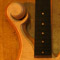 Custom bass with flamed maple top and Xylem scroll