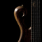 Silhouette of the Xylem 5 string custom bass guitar