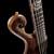 Back of the 5 string custom bass with black limba scroll, bird's eye maple neck and bocote stringers