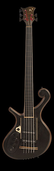 View images of the 5 string fretless bass guitar.
