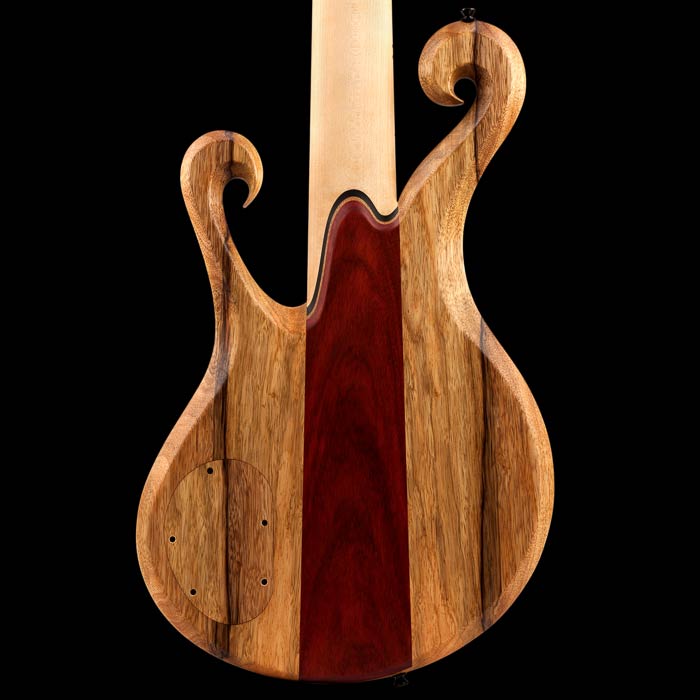 Xylem 6 string bass body with blood wood top and Villex pickups
