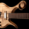 Custom bass with Xylem ball scroll in playing position
