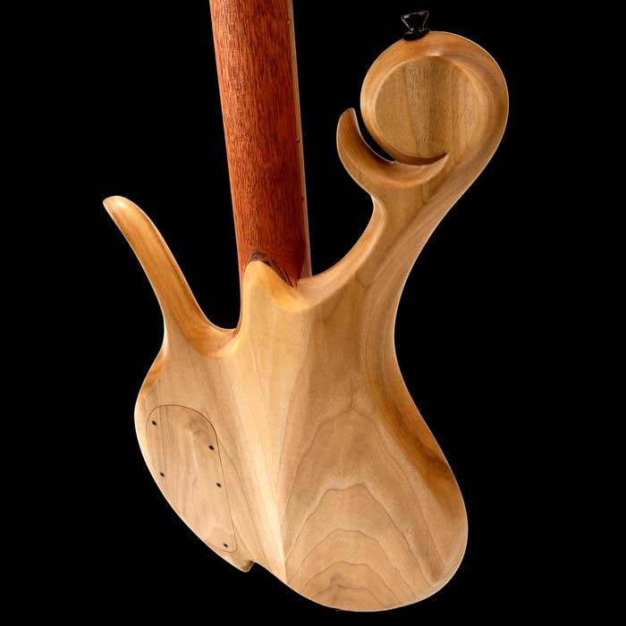 Xylem style scroll and bocote neck shim on a Xylem custom bass