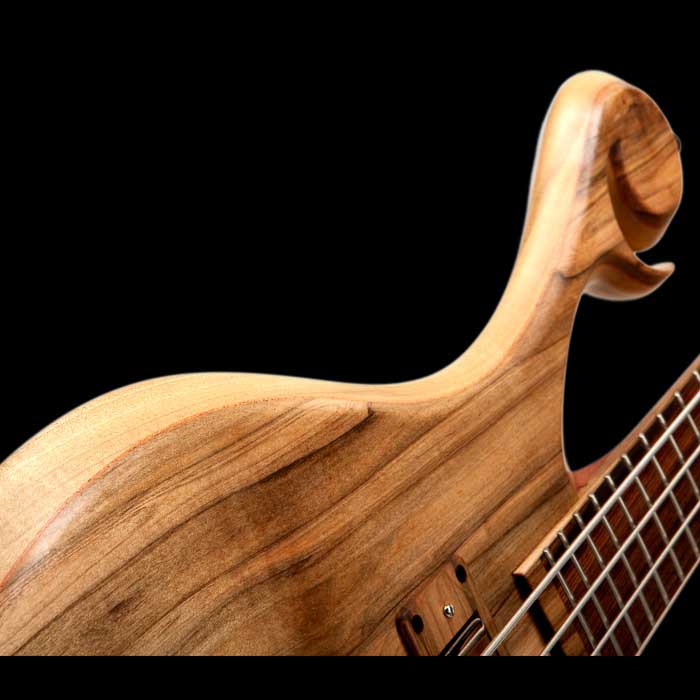 Silhouette of the bass-side of a Xylem bass body