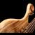 Silhouette of the bass-side of a Xylem bass body