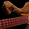 Fretboard, scroll and body of a Xylem lefty bass