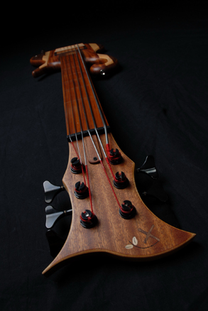 View six string fretless multi-wood bass images