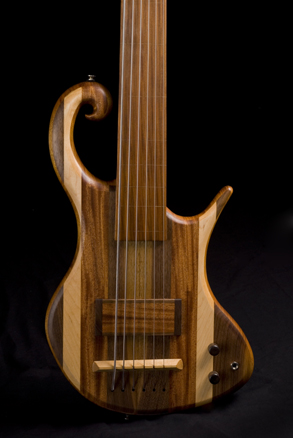 Full front of six string fretless multi-wood bass