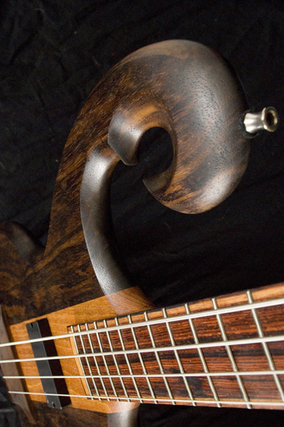 Black walnut scroll and cocobolo fretboard of the bass from a wide angle