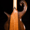 View bass body rear