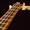 View closeup of cocobolo fretboard w/ mahogany sides and cocobolo binding