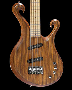 5 string custom bass with maple fretboard