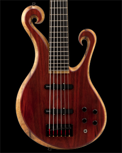 6 string Xylem bass with blood wood top