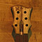 Xylem logo inlaid into a black limba guitar headstock