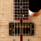 Abalone inlays in a bois de rose fretboard with Jescar frets