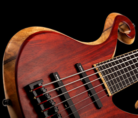 Xylem 6 string custom bass with blood wood top and Villex pickups