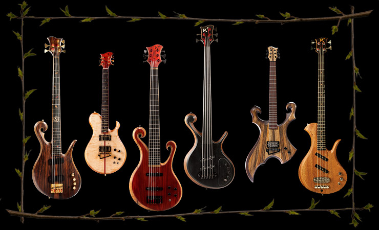 Custom basses and guitars including fretless, lefty and 6 string instruments