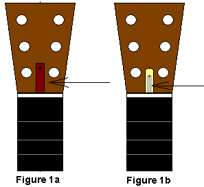 Headstock locations of truss rod adjustment nuts
