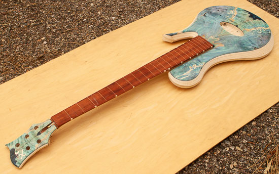Fretless single-cut 5-string bass guitar build