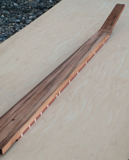 Tiger wood bass neck with bloodwood fingerboard