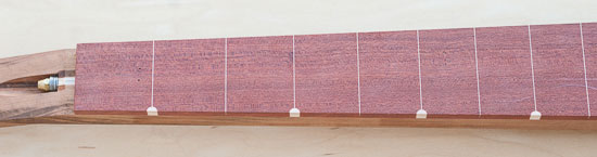 Lined fretless fingerboard with side dots