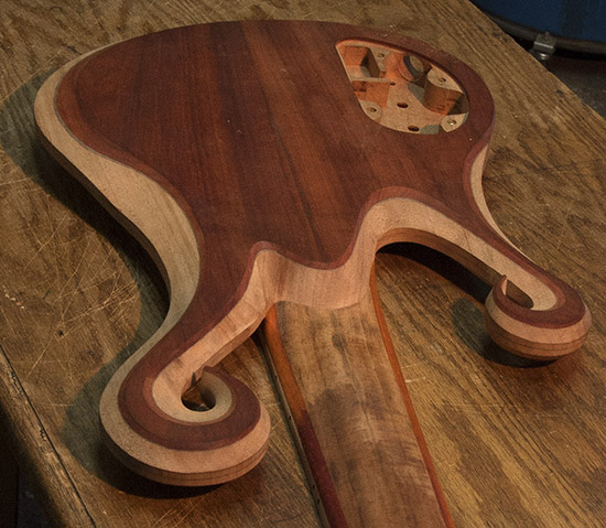 Fretless 6-string bass guitar with tigerwood neck