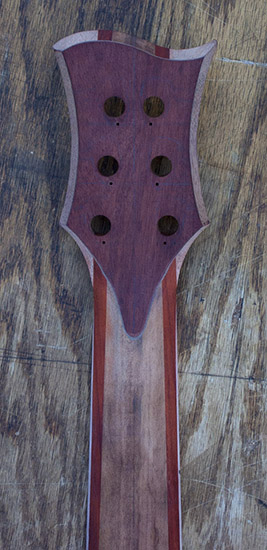Carved bloodwood headstock of a 6-string fretless bass guitar, back