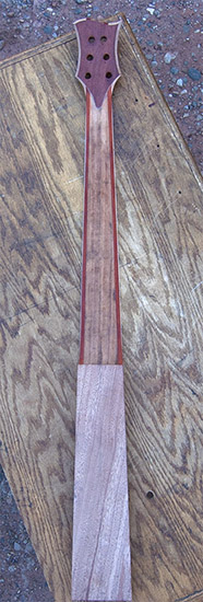 Custom fretless bass neck made of tigerwood and padauk