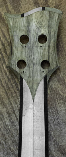 Black limba headstock of a custom bass guitar, back