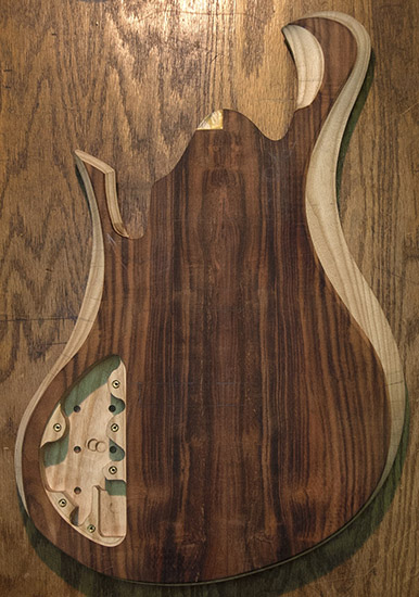 Swamp ash 8 string bass guitar with rosewood top, back
