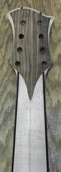 8-string bass headstock with rosewood volute, back