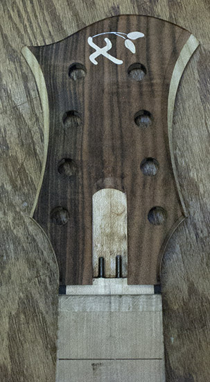 8-string bass headstock with rosewood veneer, dual truss rods