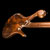Ball scroll on a layered walnut custom bass