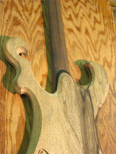 Back of the custom guitar showing ebony neck shim, scrolls, black walnut neck and black limba body